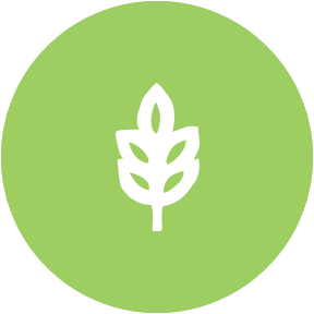icon-nachhaltigkeit